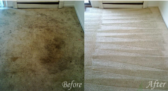 Carpet Cleaning