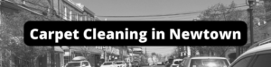 Carpet Cleaning in Newtown